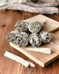 Sauge Blanche californie Torche 15-25 Gr