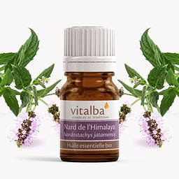 Géranium bio type bourbon Vitalba 5ml
