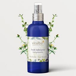 Hydrolat Inule odorante Vitalba 100ml