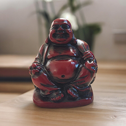 Bouddha Santé 