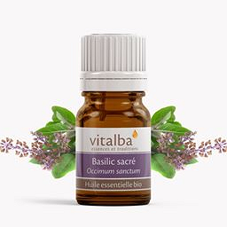 Vitalba Basilic sacré
