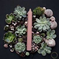 Bougie Rose Grand modèle