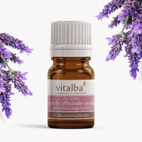 Lavande officinale sauvage bio Vitalba 5ml
